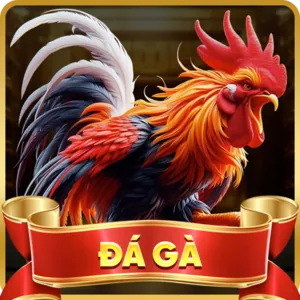 Tường lửa bảo vệ Thabet